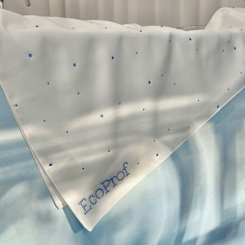 Branded handkerchief Eco.Prof.Cosmetics